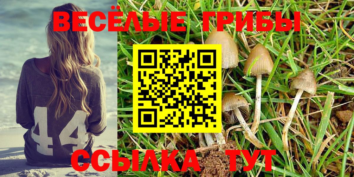 Киров  Галлюциногенные грибы Magic Shrooms  закладки  Псилоцибиновые грибы MAGIC MUSHROOMS  Вход с VPN 